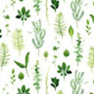 Meet your Posher, Nealy